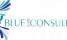Blue Bird Consulting – Branding