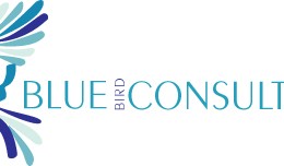 Blue Bird Consulting – Branding
