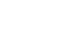 Feather Logo